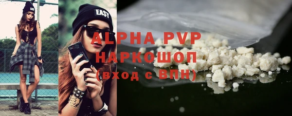 стаф Арсеньев