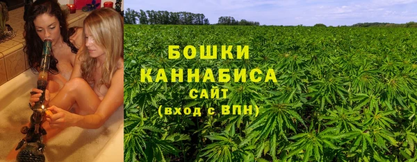 стаф Арсеньев