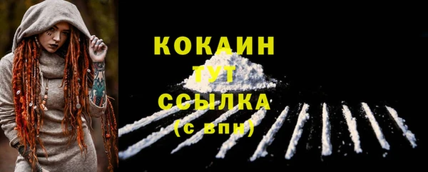 стаф Арсеньев