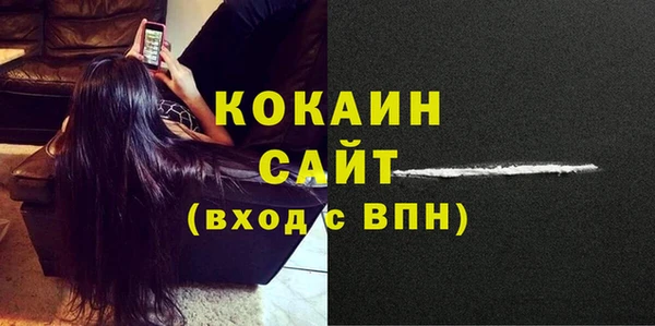 стаф Арсеньев
