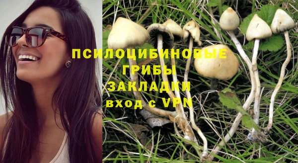 стаф Арсеньев